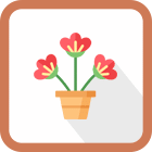 Potted flowers with red petals and green stems.